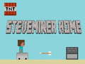遊戲Steveminer Home