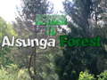遊戲Return To Alsunga Forest
