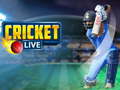 遊戲Cricket Live