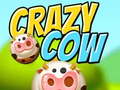 遊戲Crazy Cow