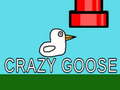 遊戲Crazy Goose
