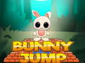 遊戲Bunny Jump