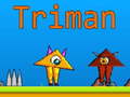 遊戲Triman