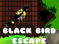 遊戲Black Bird Escape