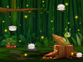 遊戲Snail Run