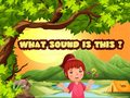 遊戲What Sound Is This?