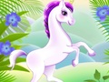 遊戲Blair Unicorn
