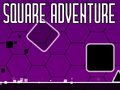 遊戲Square Adventure