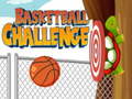 遊戲Basketball Challenge 