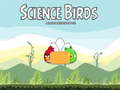 遊戲Science Birds