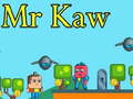 遊戲Mr Kaw