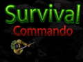 遊戲Survival Commando