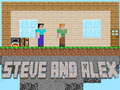遊戲Steve and Alex