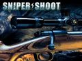 遊戲Sniper Shooting