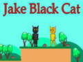 遊戲Jake Black Cat