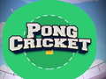 遊戲Pong Cricket