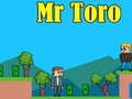 遊戲Mr Toro