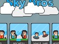 遊戲Sky Bros