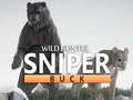 遊戲Wild Hunter sniper buck