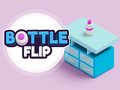遊戲Bottle Flip