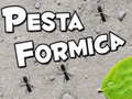 遊戲Pesta Formica
