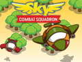 遊戲Sky Combat Squardom