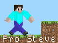 遊戲Pro Steve