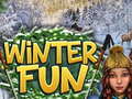 遊戲Winter Fun