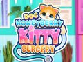 遊戲Doc HoneyBerry Kitty Surgery