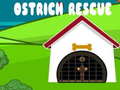 遊戲Ostrich Rescue