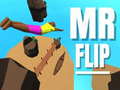 遊戲Mr Flip