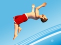 遊戲Flip Divers