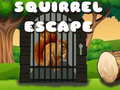 遊戲Squirrel Escape