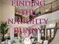 遊戲Finding The Naughty Bunny