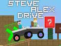 遊戲Steve Alex Drive