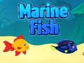遊戲Marine Fish