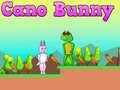 遊戲Cano Bunny