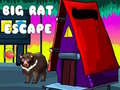 遊戲Big Rat Escape