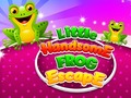 遊戲Little Handsome Frog Escape