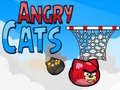 遊戲Angry Cats