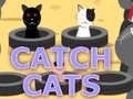 遊戲Catch Cats