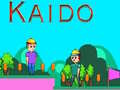 遊戲Kaido