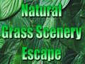 遊戲Natural Grass Scenery Escape