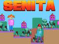 遊戲Senita