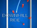 遊戲Down Hill Ride