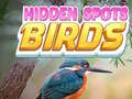 遊戲Hidden Spots Birds