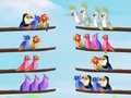 遊戲Bird Sort Puzzle