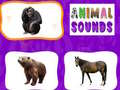 遊戲Animal Sounds