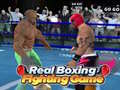 遊戲Real Boxing Fighting Game