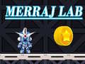遊戲Merraj Lab